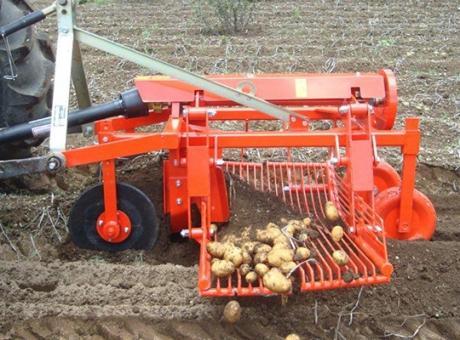Картофелекопалка Checchi & Magli SP100