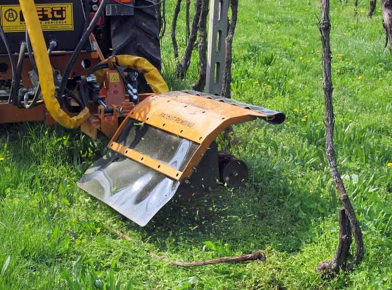 Междурядная косилка для садов и виноградников Berti Ecosprint